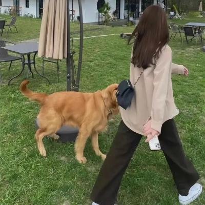 我们的翻译官